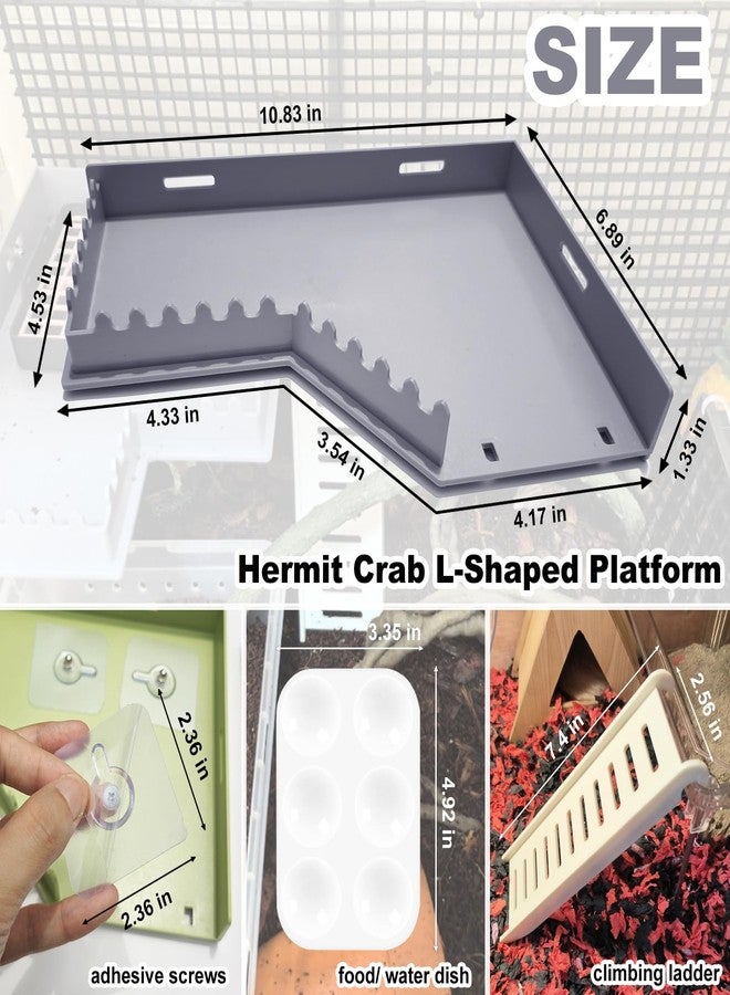 Anranmm Hermit Crab Accessories - Platform with Ladder and Food Dish, Hermit Crab Climbing Toys, Habitat Supplies and Tank Accessories for Reptiles, Hamsters, Geckos, Small Lizards - Image 2